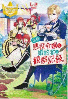 大小姐保镖漫画版封面